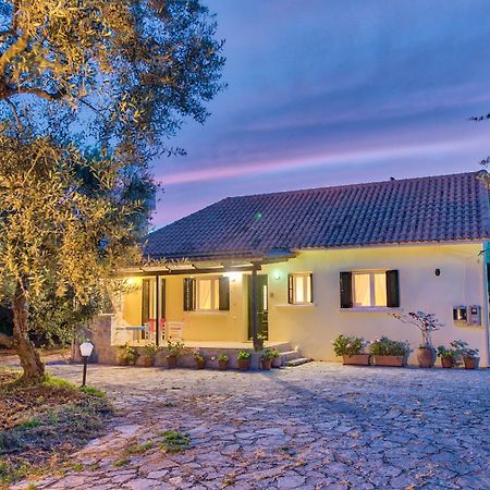 Olivegrove Villa - Nestled In Olive Trees With Private Pool, By Zantewize Tragaki Exteriör bild