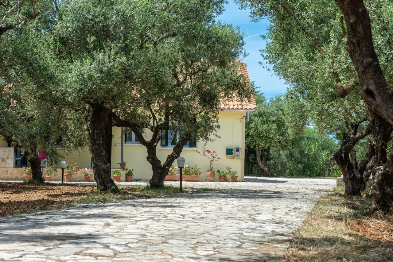 Olivegrove Villa - Nestled In Olive Trees With Private Pool, By Zantewize Tragaki Exteriör bild