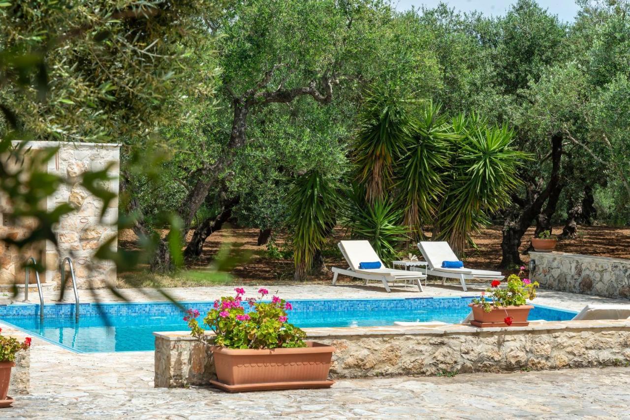Olivegrove Villa - Nestled In Olive Trees With Private Pool, By Zantewize Tragaki Exteriör bild