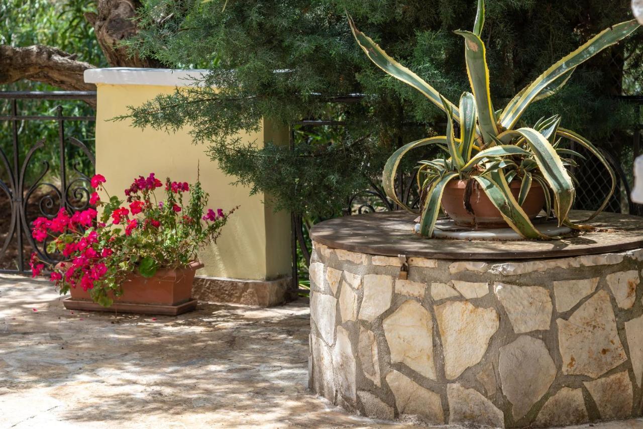 Olivegrove Villa - Nestled In Olive Trees With Private Pool, By Zantewize Tragaki Exteriör bild