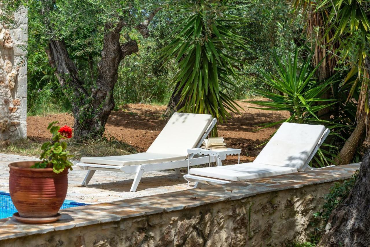 Olivegrove Villa - Nestled In Olive Trees With Private Pool, By Zantewize Tragaki Exteriör bild
