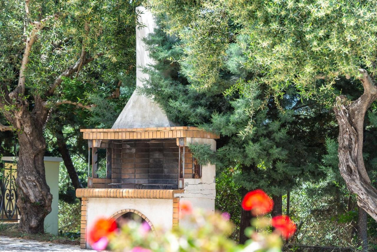 Olivegrove Villa - Nestled In Olive Trees With Private Pool, By Zantewize Tragaki Exteriör bild